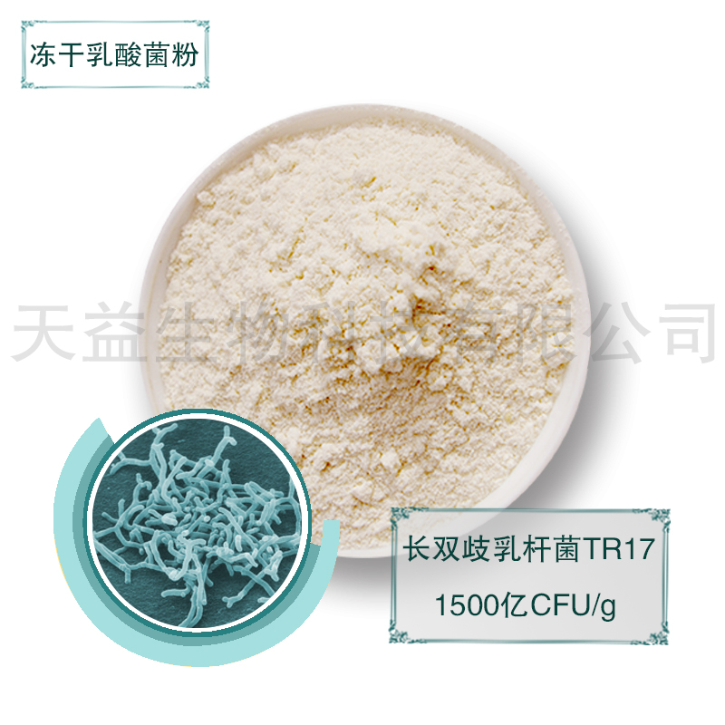 長(zhǎng)雙歧桿菌凍干粉